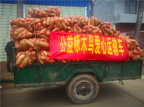 ＂愛心蘿卜＂來了！