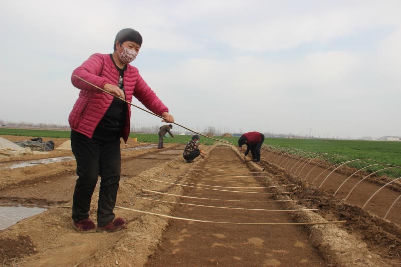 疫情防控、春耕生產(chǎn)兩手抓