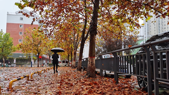 雨中周口，別有一番韻味