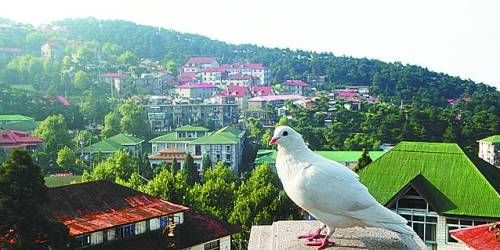  有著“云中山城”之稱的牯嶺鎮(zhèn)面臨著遷民下山。
